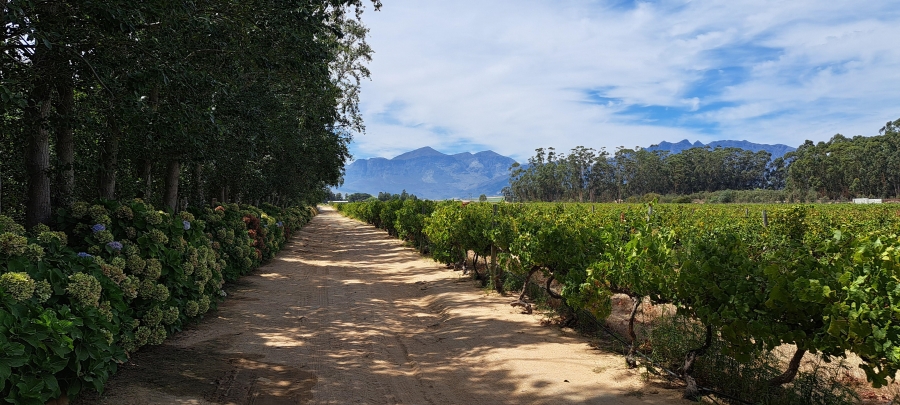 3 Bedroom Property for Sale in Wellington Rural Western Cape